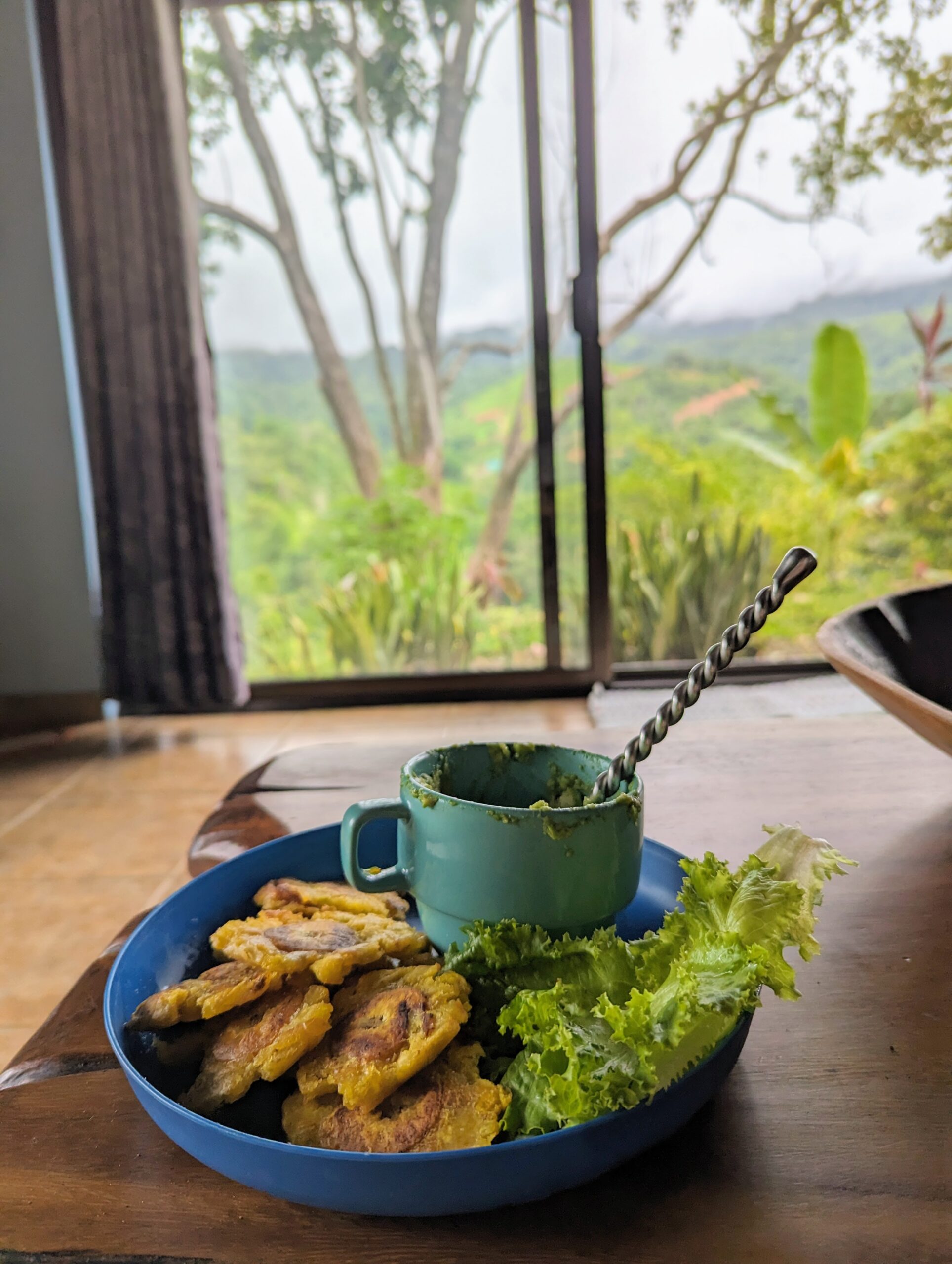 fried plantain with lettuce and guacamole